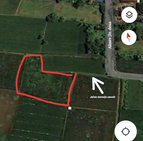 dijual-sawah-siap-tanam-jenu-tuban-big-3