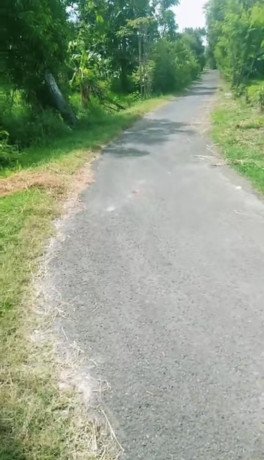 dijual-sawah-siap-tanam-jenu-tuban-big-1