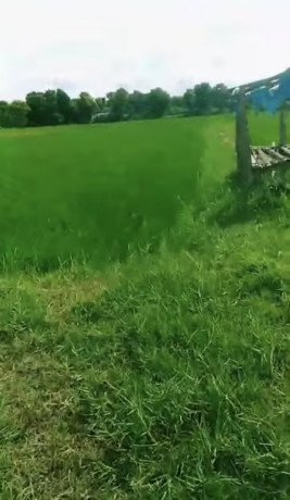 dijual-sawah-siap-tanam-jenu-tuban-big-0