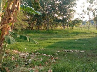 Dijual Tanah SHM Strategis di Latsari 6, Tuban