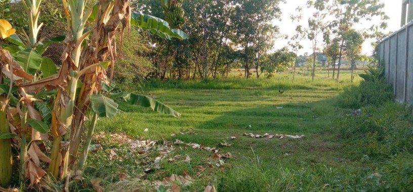 dijual-tanah-shm-strategis-di-latsari-6-tuban-big-0