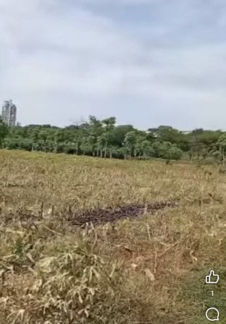 dijual-lahan-produktif-di-merkawang-tuban-big-0