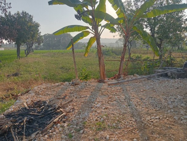 dijual-tanah-murah-hanya-10-meter-dari-jalan-raya-big-1