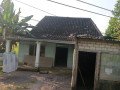 jual-cepat-rumah-sawah-produktif-small-1
