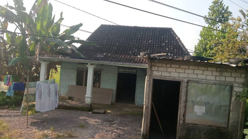 jual-cepat-rumah-sawah-produktif-big-1