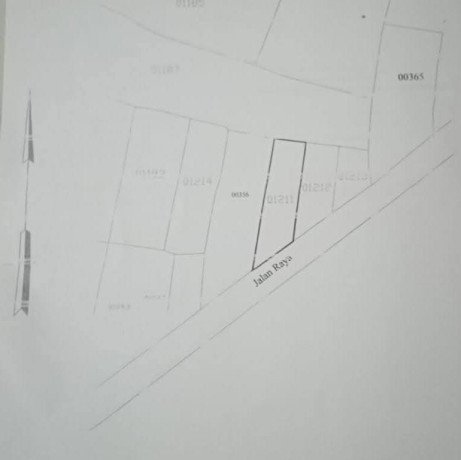 jual-cepat-rumah-sawah-produktif-big-2