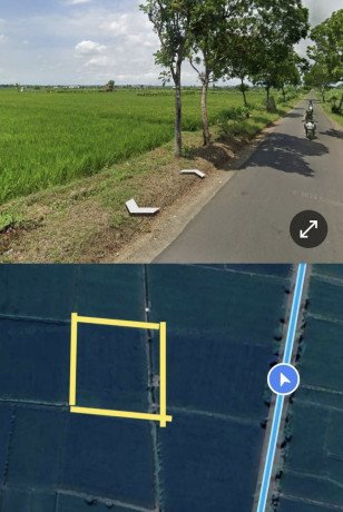 dijual-sawah-tanpa-perantara-tegalrejo-merakurak-big-1