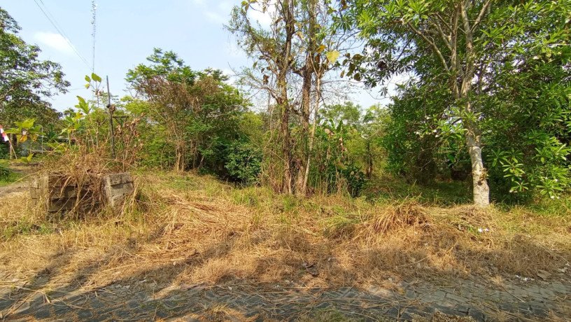 dijual-tanah-siap-bangun-di-kaliyanyar-big-1