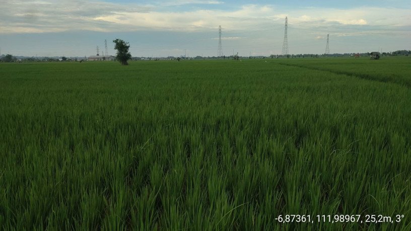 dijual-tanah-pertanian-produktif-big-0