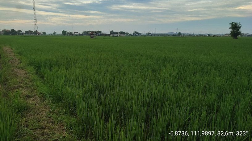 dijual-tanah-pertanian-produktif-big-1