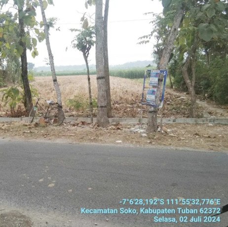 dijual-tanah-luas-889-m2-shm-pinggir-jalan-desa-mentoro-soko-tuban-big-0