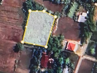 Dijual Tanah Murah Desa Semanding, Bojonegoro