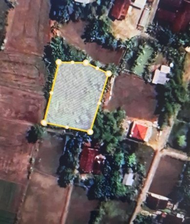 dijual-tanah-murah-desa-semanding-bojonegoro-big-0