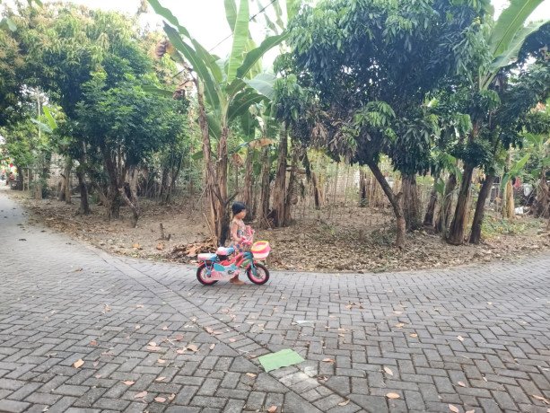 dijual-tanah-strategis-big-2