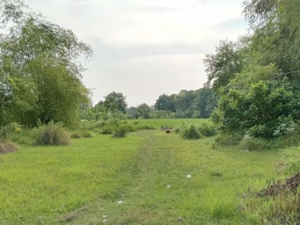 dijual-tanah-murah-1850-m2-tuban-big-0