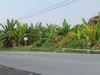 Dijual Tanah Pekarangan Super Strategis di Bojonegoro!