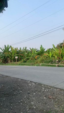 dijual-tanah-pekarangan-super-strategis-di-bojonegoro-big-0