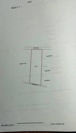 dijual-murah-cepat-tanah-pohon-jati-big-3