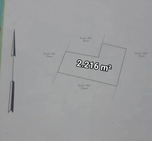 monggo-sawah-dijual-merakurak-big-2