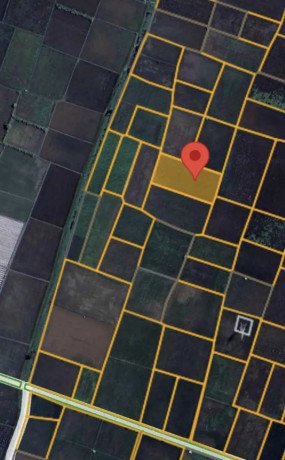 dijual-sawah-shm-big-2