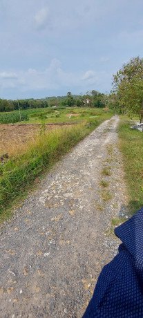 dijual-tanah-bersertifikat-shm-big-0