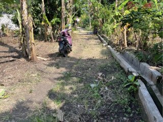 DIJUAL TANAH SHM TUBAN