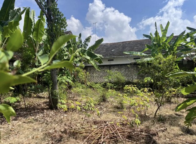 dijual-tanah-shm-tuban-big-2