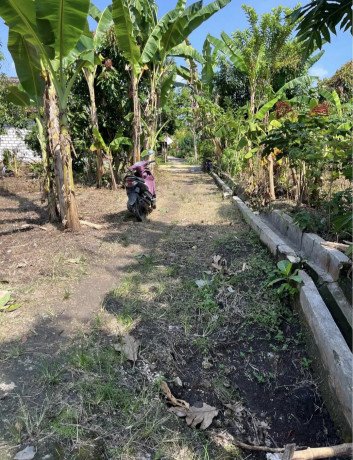 dijual-tanah-shm-tuban-big-0