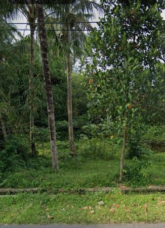 disewakan-pekarangan-lahan-kosong-big-0