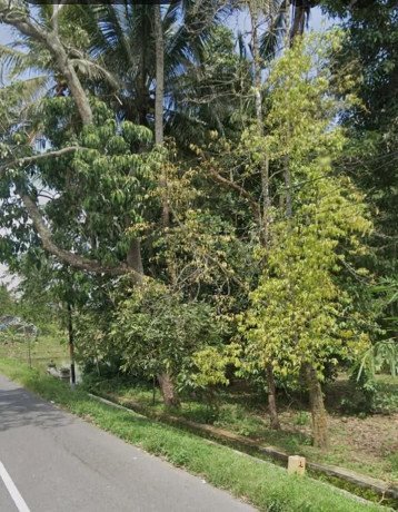 disewakan-pekarangan-lahan-kosong-big-1