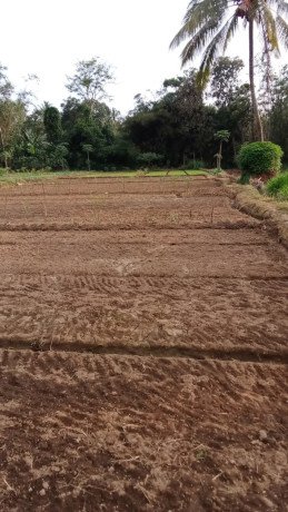 dijual-tanah-milik-pribadi-big-1