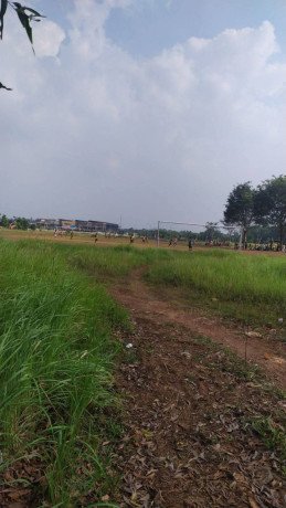 tanah-disewakan-murah-big-0