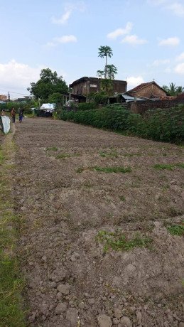 tanah-disewakan-murah-big-1