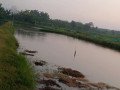 dijual-tanah-sawah-tambak-small-1