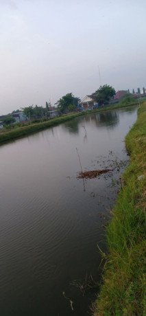 dijual-tanah-sawah-tambak-big-2