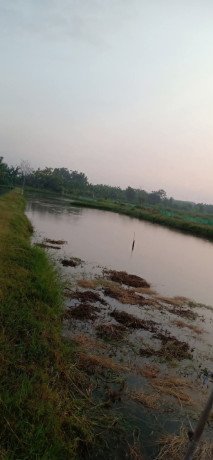 dijual-tanah-sawah-tambak-big-1