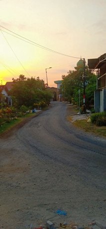 dijual-tanah-sawah-tambak-big-4