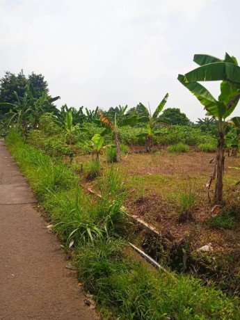 jual-tanah-bogor-big-3