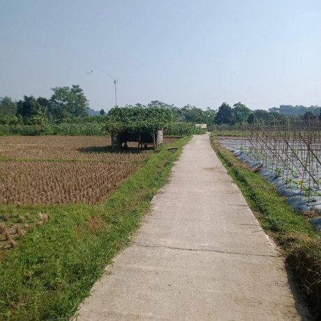dijual-tanah-kebun-manggis-produktif-purwakarta-big-1