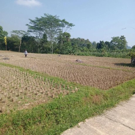 dijual-tanah-kebun-manggis-produktif-purwakarta-big-0