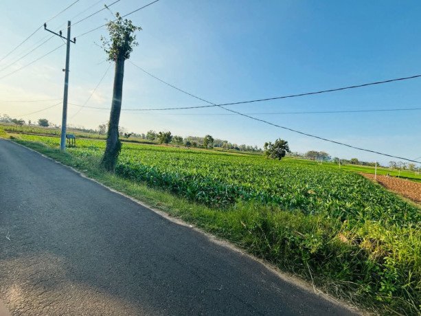 dijual-tanah-sawah-aktif-nol-jalan-bancar-tuban-big-1