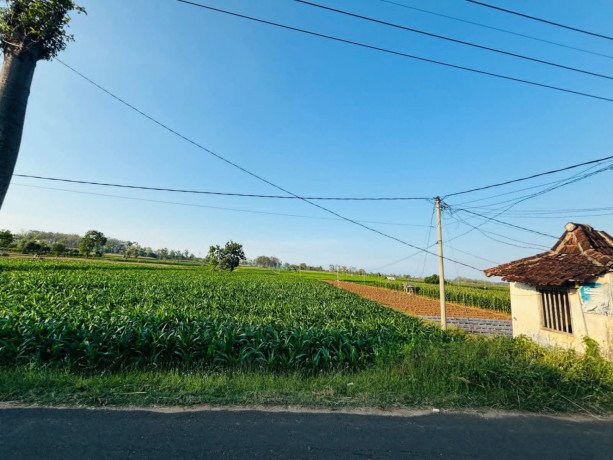 dijual-tanah-sawah-aktif-nol-jalan-bancar-tuban-big-0