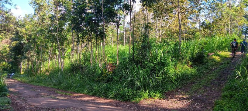 dijual-tanah-kebun-durian-produksi-big-0