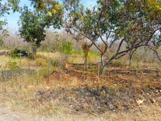 Dijual / Diga­daikan Tanah tegalan