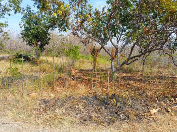 dijual-digadaikan-tanah-tegalan-big-0