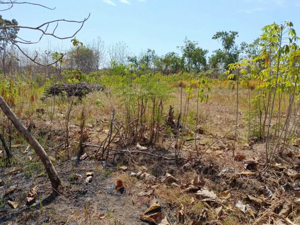 dijual-digadaikan-tanah-tegalan-big-2