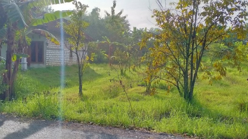 dijual-tanah-strategis-di-bojonegoro-big-1