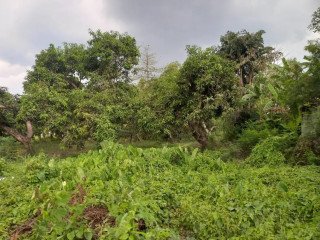 Dijual Tanah Pekarangan Strategis di Kota Jombang