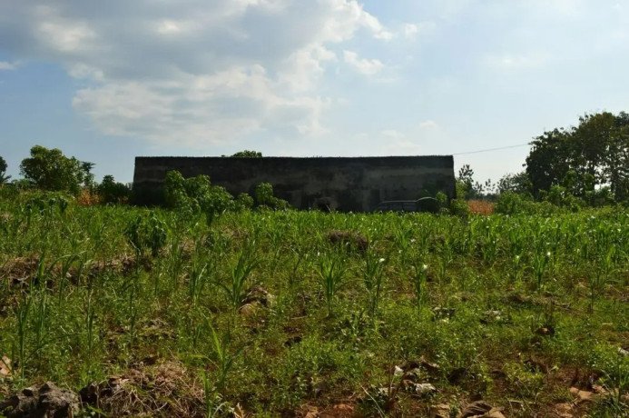 dijual-tanah-goa-rumah-walet-big-1