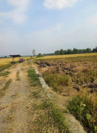 dijual-tanah-pertanian-produktif-big-1